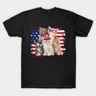 Funny Cat Patriotic USA Cat Lovers Cat Moms 4th July American T-Shirt